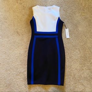 ❤️BNWT! Women’s Color Block Calvin Klein Dress